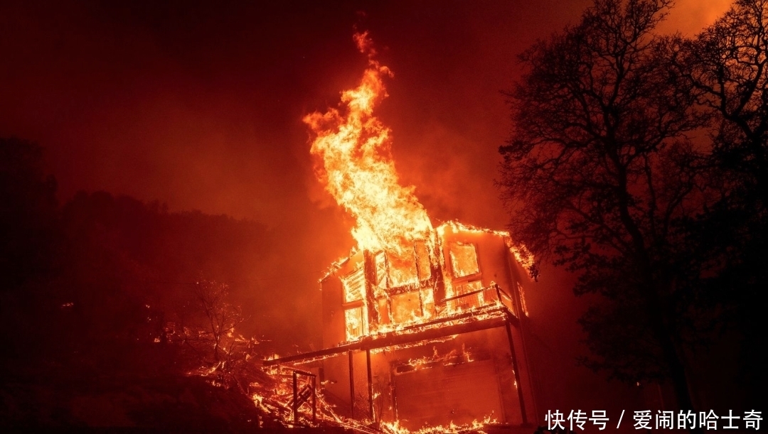 当全网都在催关晓彤给鹿晗庆生时,一场关乎全人类的灾难正悄然降临……