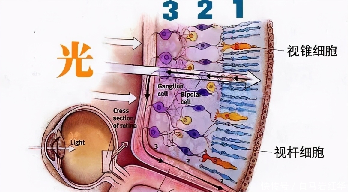 宇宙天体有颜色吗?为了解答,有人把相机带上了太空