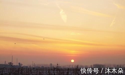 水池塘&诗词:光阴赠我单程票,我赠光阴一首诗