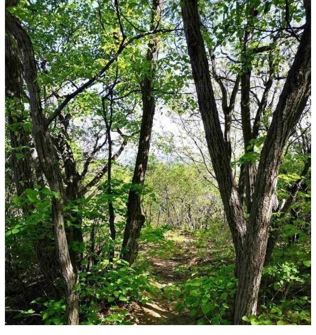 登山|北京门头沟，高海拔经典徒步穿越路线，髽鬏山与清水尖的巅峰对决