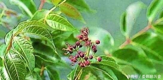 原纸|为了使纸张美观好用,看看我国古人是怎样对原纸进行“再加工”的