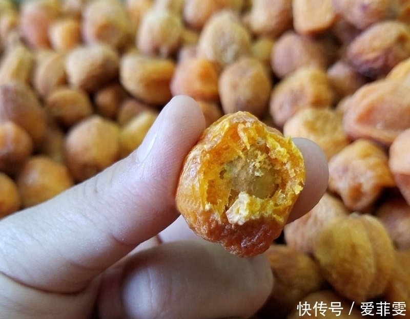 鲜果|北方奇特野果,新鲜无人摘,风干后人人抢,40一斤成“发财果”