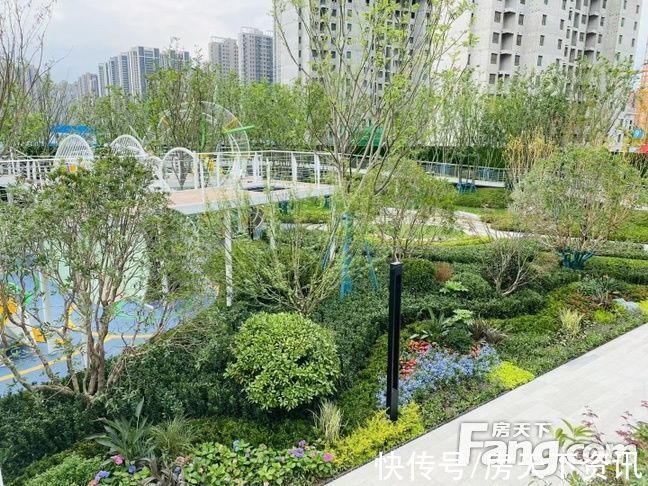 新动态|从中南·君启现场发来一条项目新消息，请查看