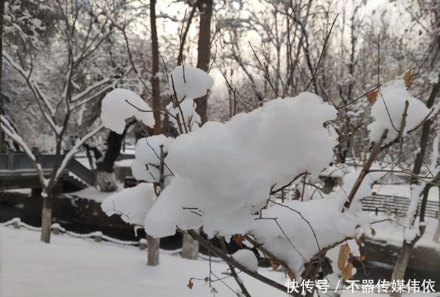 玉树琼花|玉树琼花，如梦如幻，乌鲁木齐这个公园冬天如人间仙境