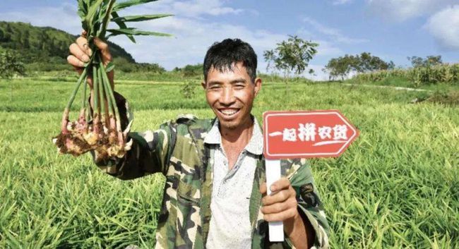 加油|危机正在在靠近,遭遇增长天花板,拼多多要刹车还是要加油