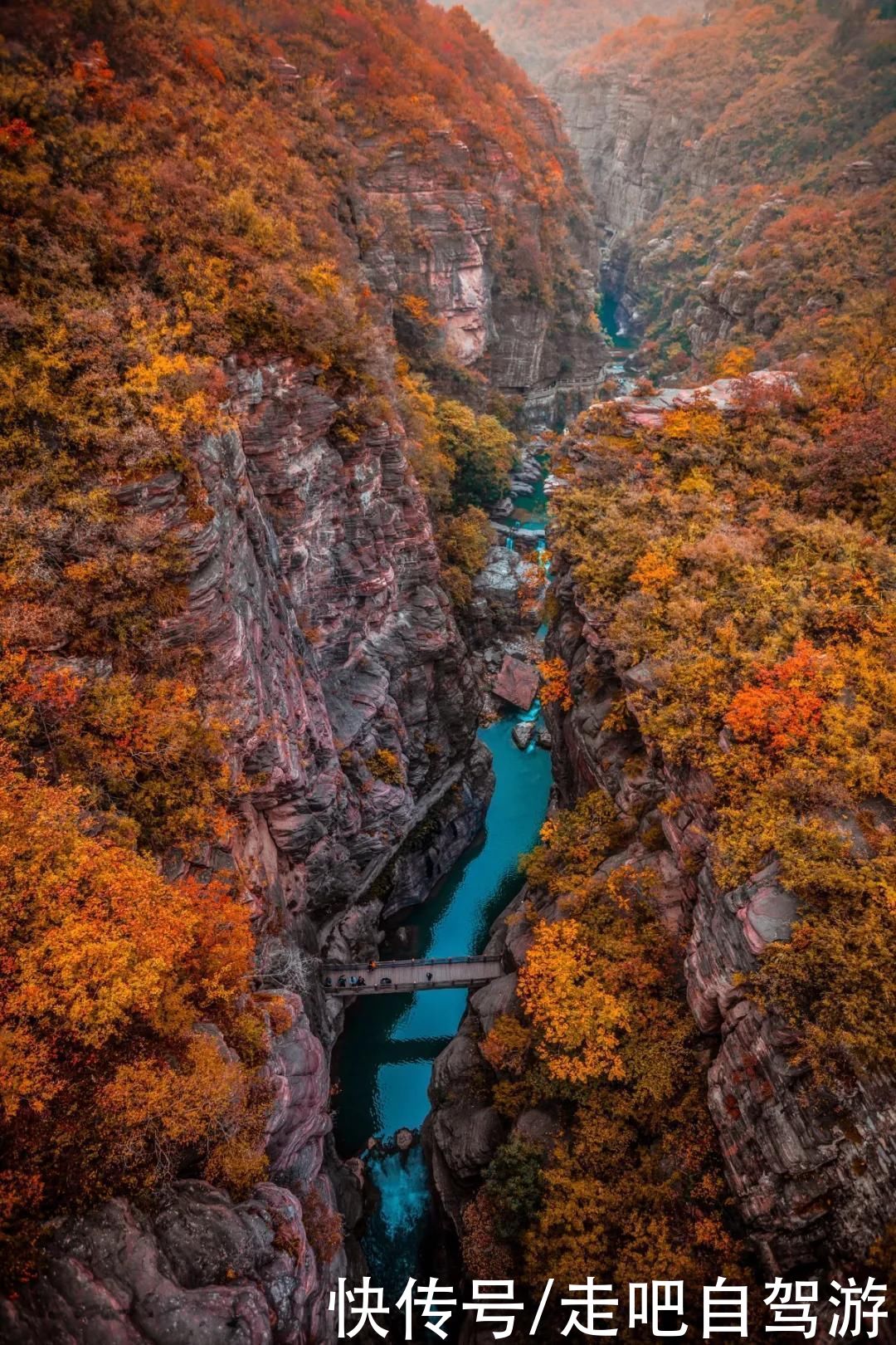 老年|这些公园，又仙又美，秒杀国内众多景点，很多人喜欢一去再去
