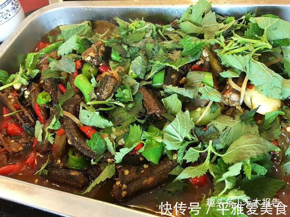 藿香|农村这种野草比香水还香,含一片叶子能除口臭,还是极品高钙菜