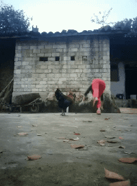 |搞笑GIF:锁骨窝里能养鱼,这身材才算是厉害啊