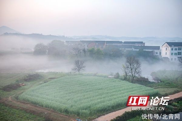 久雨初晴，薄雾轻笼下的家乡景色格外妖娆