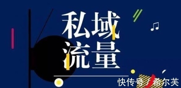 服务商|私域电商行业再起风云,希尔芙蛰伏4年迅速崛起,开创行业新态势