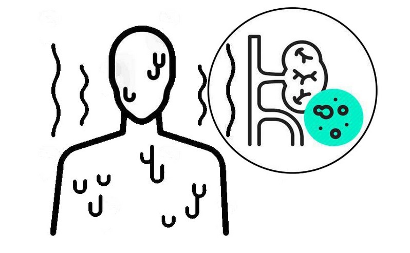 补肾强肾|肾不好百病生?提醒:日常多吃这4种食物,补肾强肾、增强免疫力