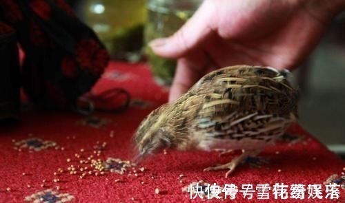 金簪#聊斋志异:一个懒汉捡到一支金钗,见证了一场跨越百年的人狐之恋