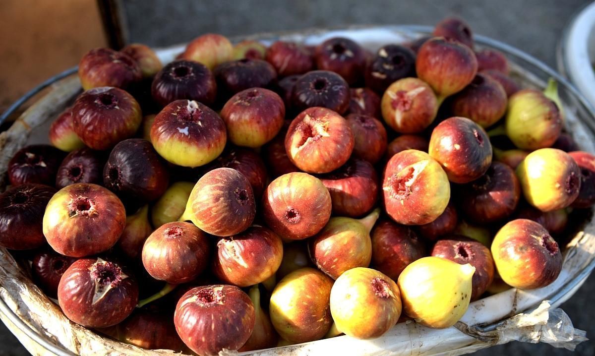 征兆|糖尿病的并发症来临前是有征兆的,身体会出现这些信号,请别大意