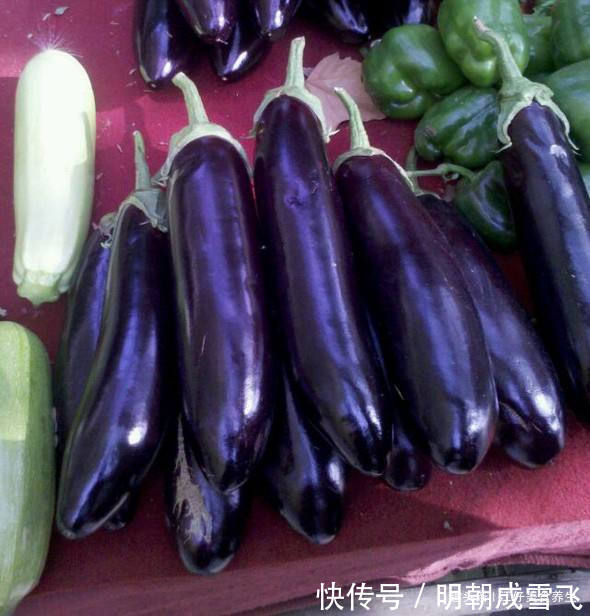 植物伟哥|茄子好吃,但却不能乱吃,吃茄子有1大禁忌,还有人傻傻不清楚