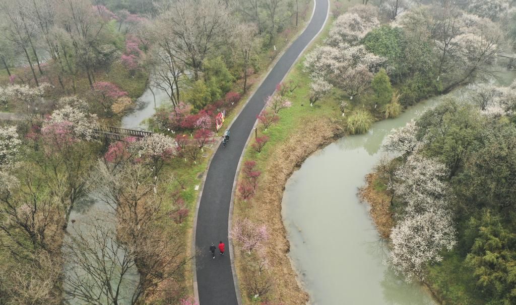 赏梅|（美丽中国）西溪探梅
