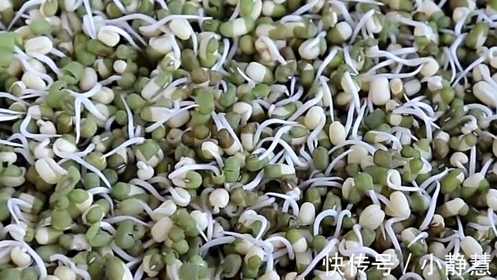 盖子|想吃绿豆芽别再买,教你在家生,一碗绿豆生一大盆,做法超简单