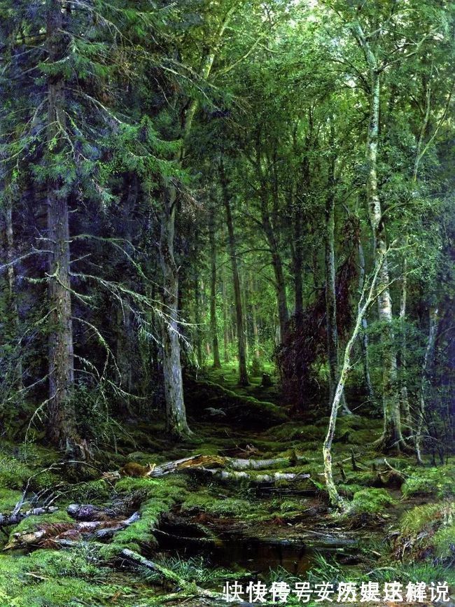 那个时代$俄罗斯杰出风景画家希施金的作品,诗一般的境界!