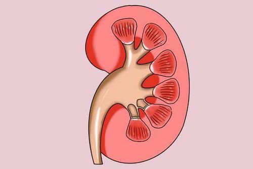一天适宜喝多少水？水喝多了，会刺激肾脏，引起中毒？医生告诉您