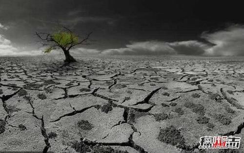 最有可能存在生命的星球