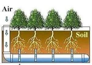  植物|没地种花种菜，没时间浇水几个塑料瓶就能解决，DIY变废为宝