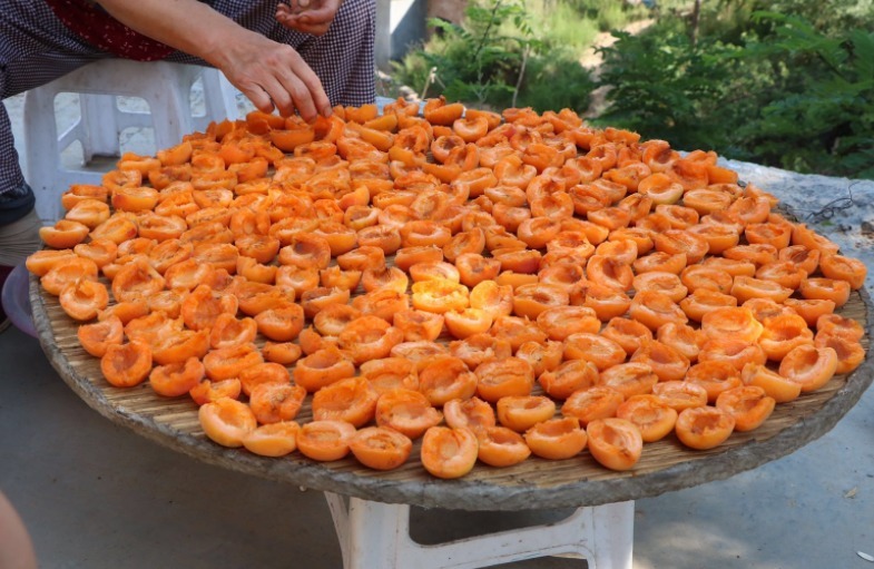 碱性|天热这碱性水果要多吃,一次性买5斤,晒干囤着,随时吃随时取!