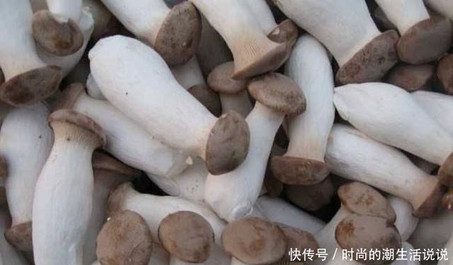 买杏鲍菇时,别再只挑大的,牢记4个特征,轻松挑到好杏鲍菇