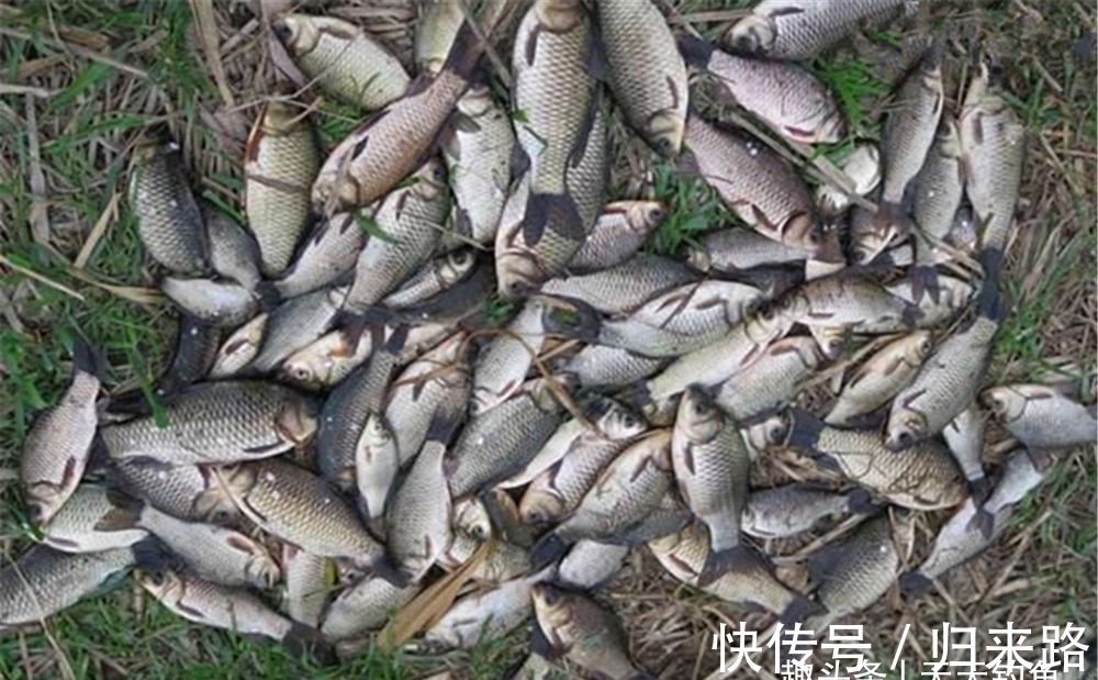 冬季钓鱼,不在4类钓点下竿,多好的饵料和技术,也注定了空军