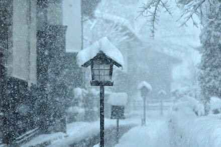 臧怀生｜窗外的雪