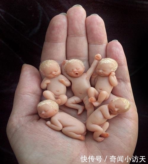 世上最小“婴儿”,5个能同时放在一只手上!是新生父母的最爱!