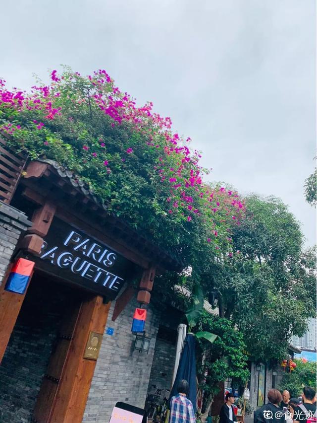 扦插|三角梅的养护大全摘光叶子，少浇水，使劲晒，开花爆满盆