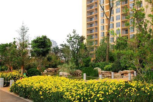 住房|10年后，房价“如葱”专家预测3大原因，房价或将超乎想象