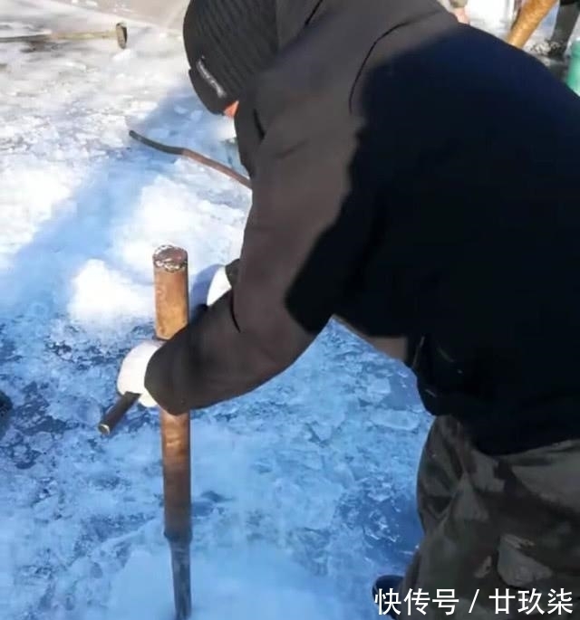 冬天|东北的老头鱼是一种什么鱼？生活在野泡子里，冬天冰封也冻不死