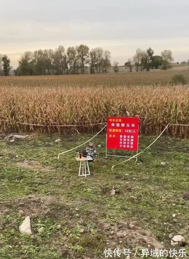 |搞笑趣图:姑娘,你这射箭姿势看着不太标准啊