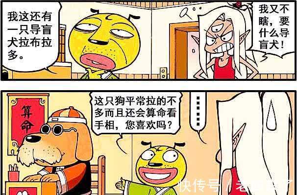 身材|贵妇犬不仅身材傲人，而且还能暖床，为何二郎对其不屑一顾？