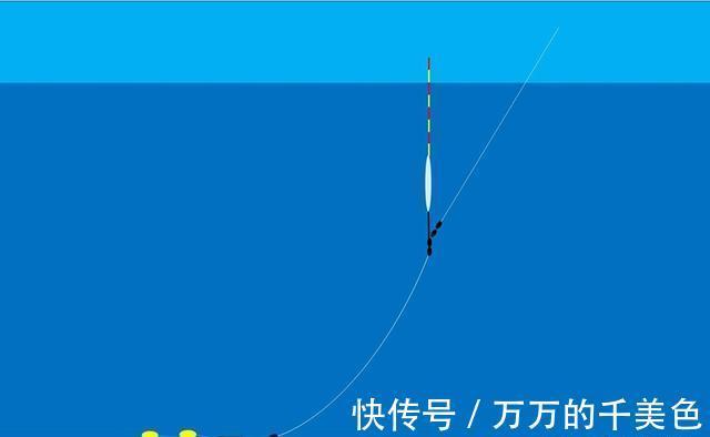 钓位|三伏天钓不到鱼?是时候调整钓法了,气温过高要钓“凉爽”