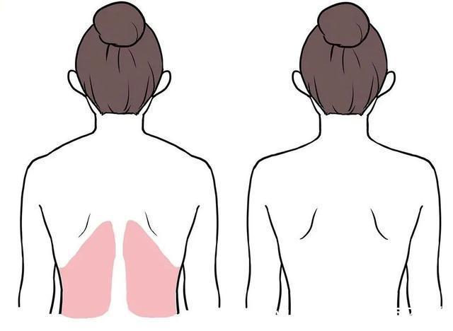 脂肪细胞 吸脂真的能做到想瘦哪里瘦哪里吗?吸脂术后都有哪些注意的呢?
