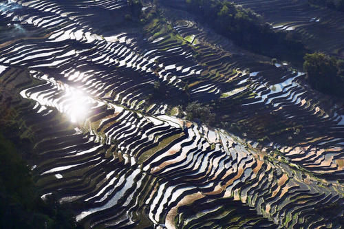 元阳坝达梯田景区，最佳日落观景点，可惜运气差了一点点