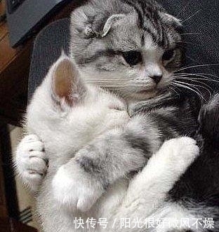 |幽默笑话:別人说我心狠手辣,我舔了一下自己的手,给辣哭了!