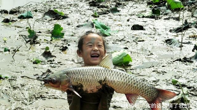 鱼儿|钓鱼找不到鱼窝70岁老渔翁教你3招,你也能十分钟钓上30斤大鱼!