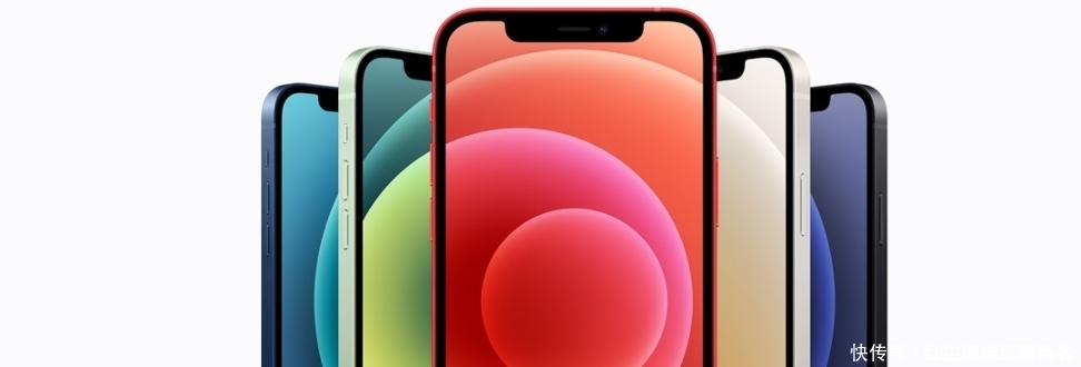显示屏|网传:搭载LG显示屏的iPhone12品控最差?