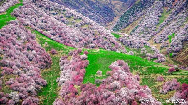 老年|如果一生只去一次新疆,这些地方你一定要知道