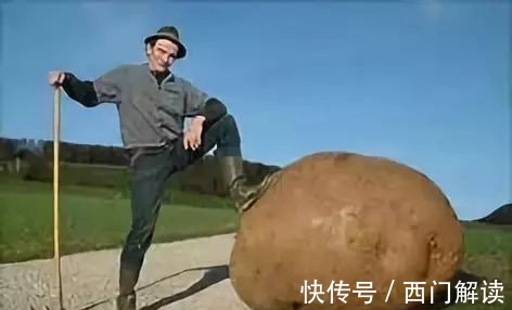 你绝对没见过的奇特的瓜果蔬菜!大开眼界!