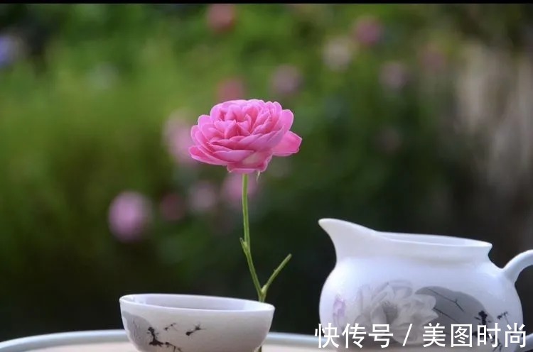 三角梅|120㎡别墅花园改造,经过三年的努力,小院从荒地到花开满园