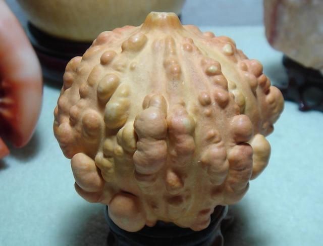 文玩|“不可貌相”丑到不想再看第二眼的文玩,竟然很珍贵