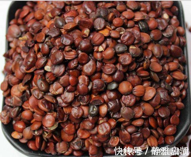 睡眠|中医把这种食物称为“东方睡果”,让你睡眠好不打呼噜,安心养神