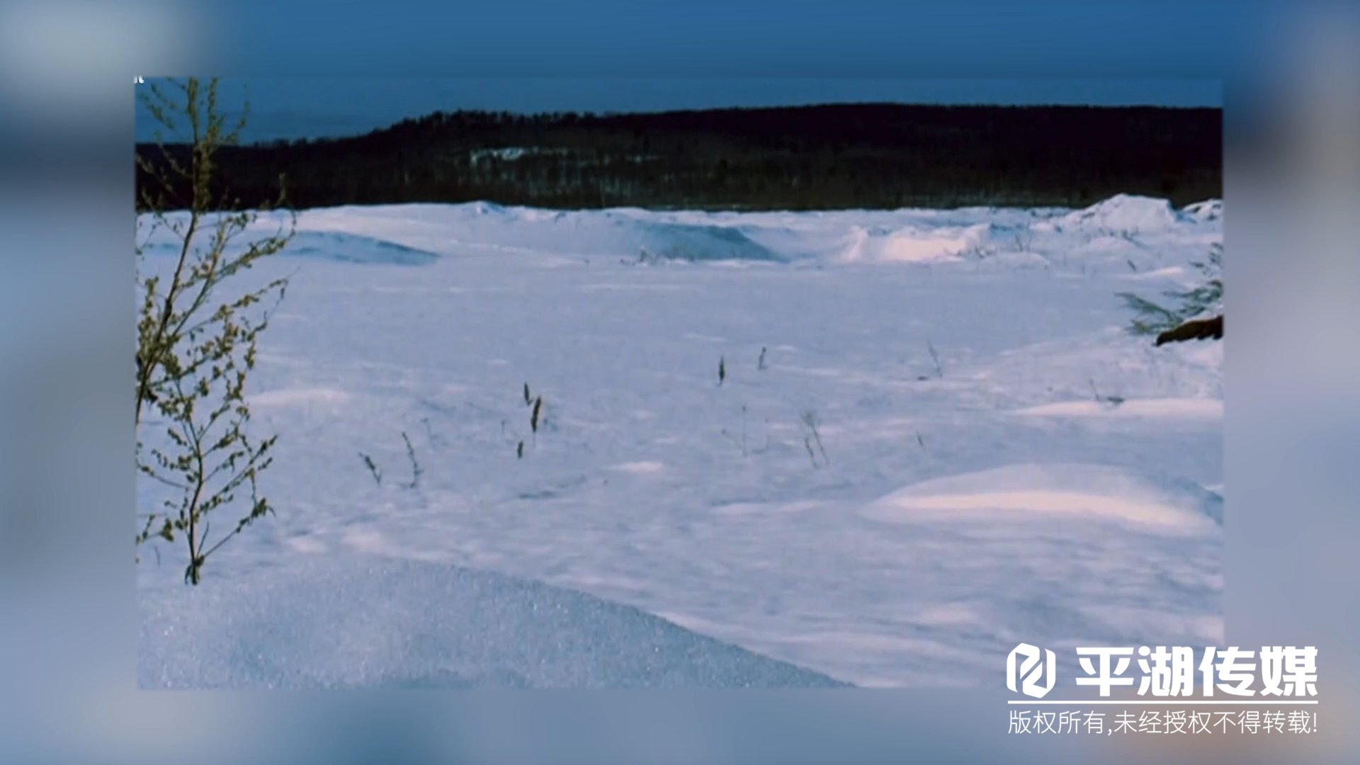 平湖|平湖93岁老兵坚守朝鲜战场四年，为一线战事做好保障！