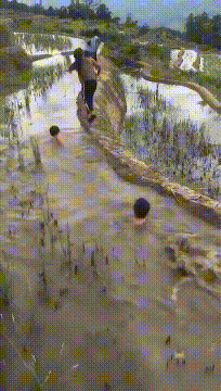 |搞笑GIF:这是北方的做鱼过程,不知道的南方怎么做