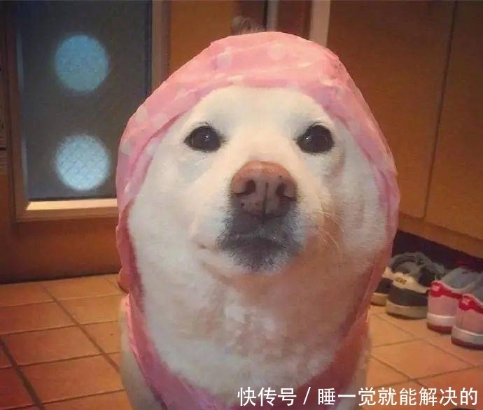 超好玩的沙雕头像,建议收藏!