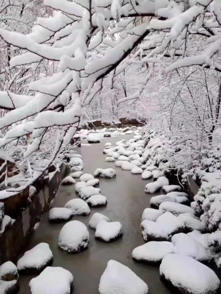 中年|冰天雪地看本溪之瑞雪兆丰年（1）