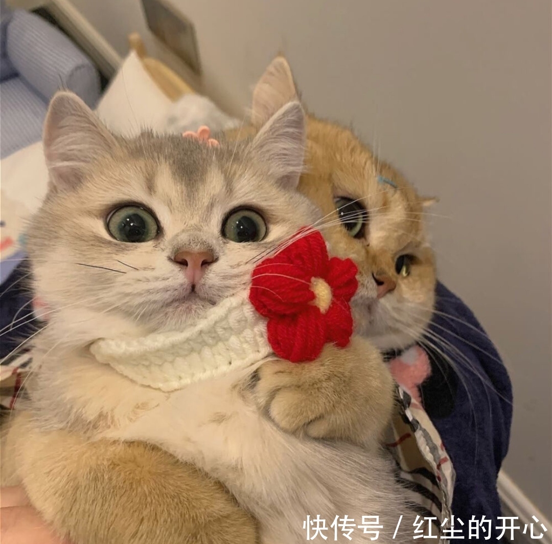 闺蜜|『头像女』我和我的闺蜜,是以年为单位的友谊